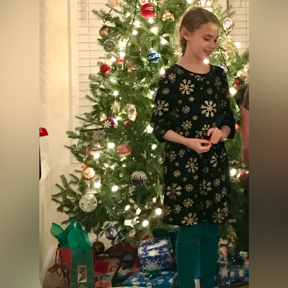 Cat&Jack girls holiday dress with gold snowflakes